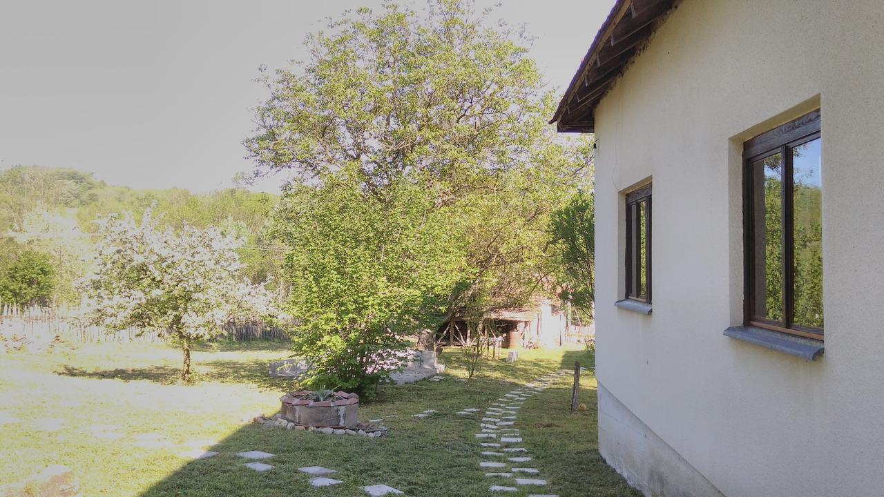Kuca Za Odmor Radovanovic Despotovac Dış mekan fotoğraf