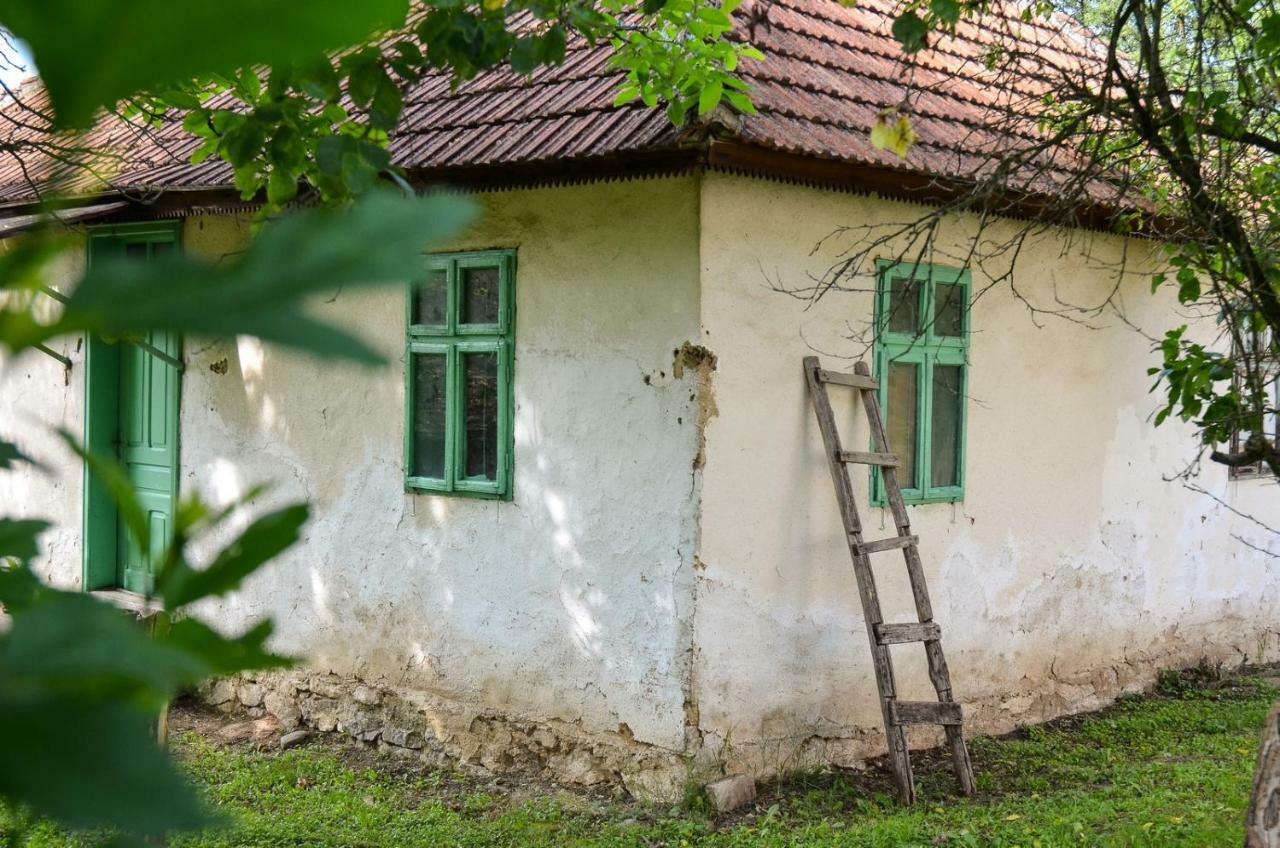 Kuca Za Odmor Radovanovic Despotovac Dış mekan fotoğraf