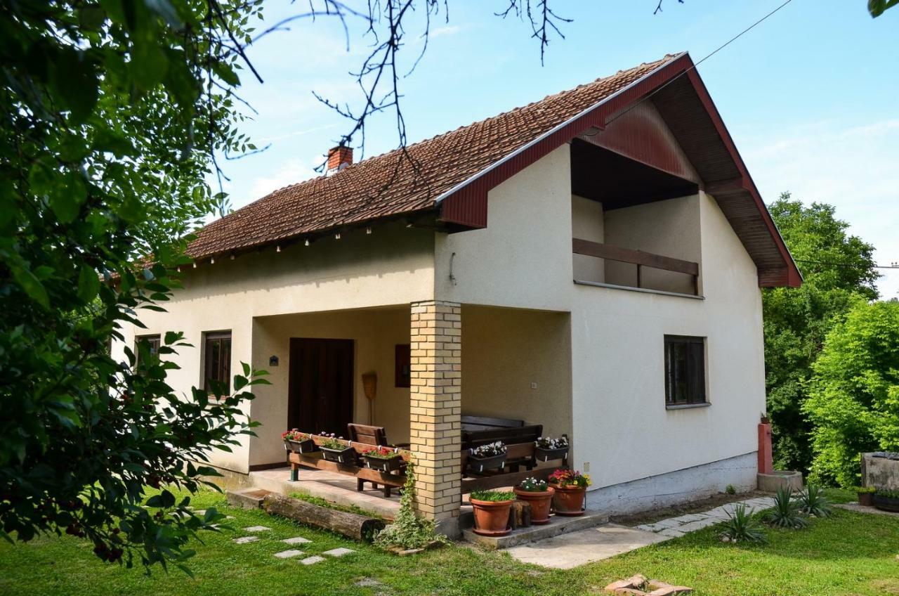 Kuca Za Odmor Radovanovic Despotovac Dış mekan fotoğraf